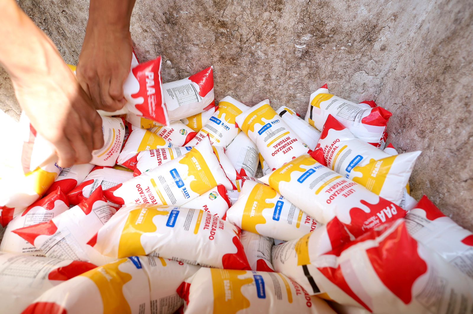 Distribuição do Programa do Leite será realizada na quarta-feira (17), devido ao feriado